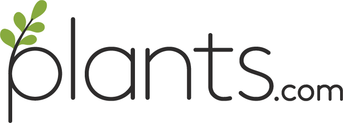 The Best Online Plant Delivery Services in 2025: Why Plants.com Stands Out