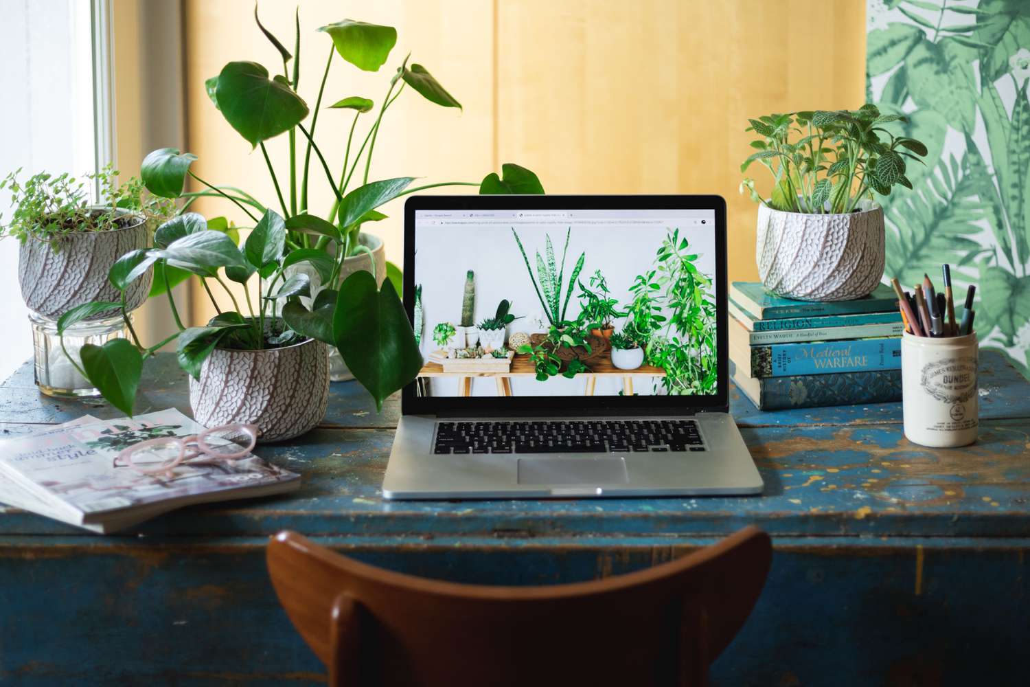 Is Buying Plants Online Risky? Not Anymore.